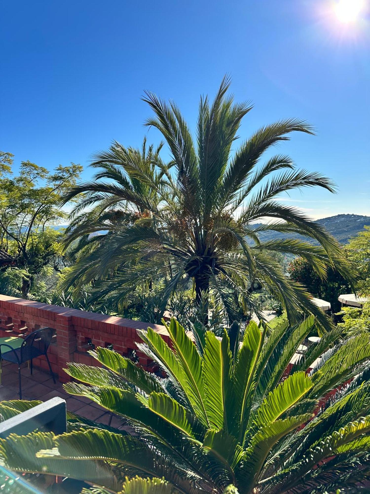 Relais San Damian Aparthotel Империа Екстериор снимка